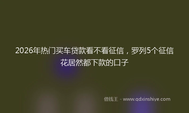 2026年热门买车贷款看不看征信，罗列5个征信花居然都下款的口子
