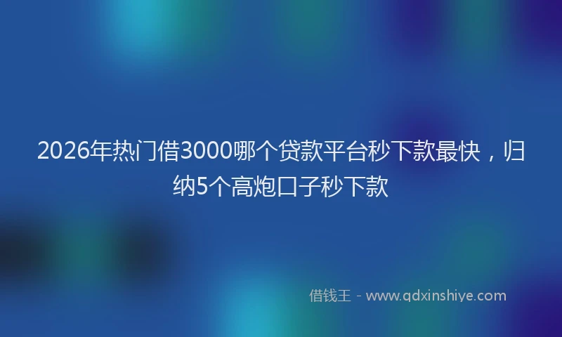 2026年热门借3000哪个贷款平台秒下款最快，归纳5个高炮口子秒下款