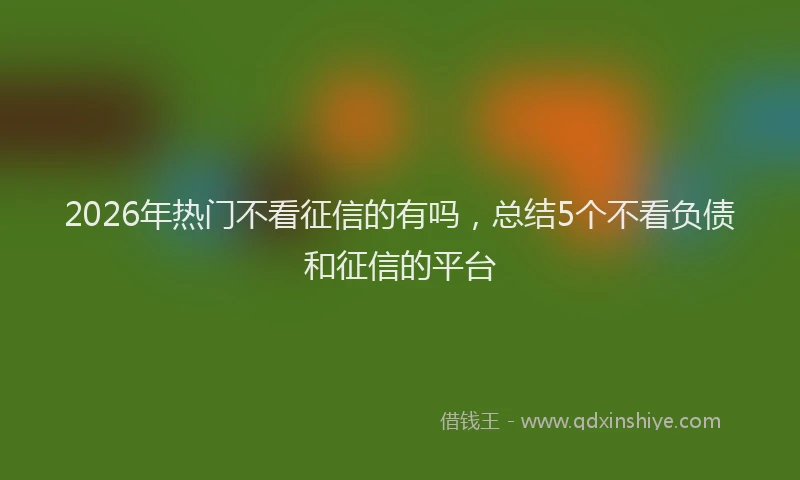 2026年热门不看征信的有吗，总结5个不看负债和征信的平台