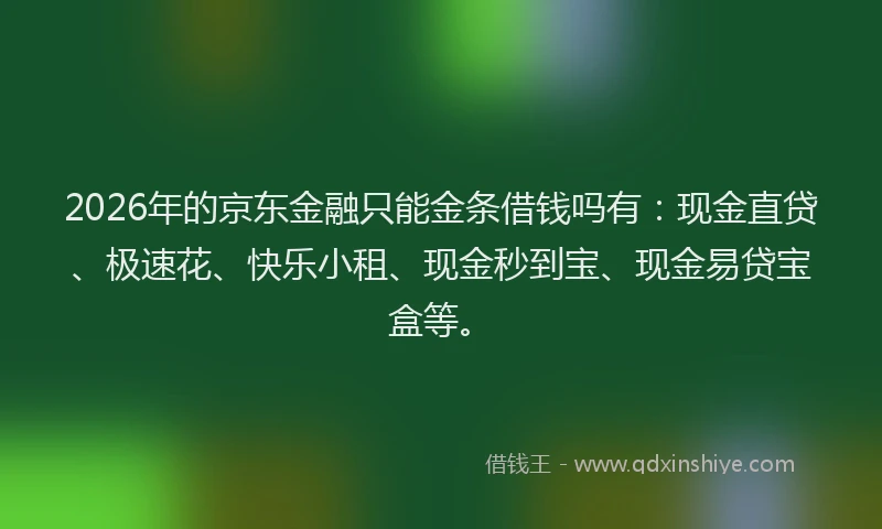 2026年的京东金融只能金条借钱吗有：现金直贷、极速花、快乐小租、现金秒到宝、现金易贷宝盒等。