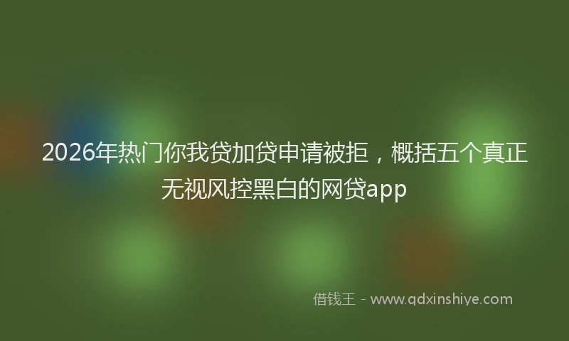 2026年热门你我贷加贷申请被拒，概括五个真正无视风控黑白的网贷app