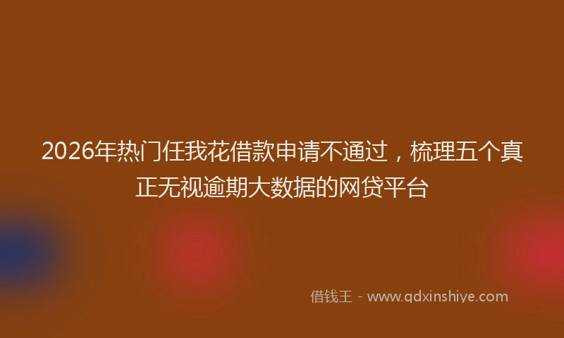 2026年热门任我花借款申请不通过，梳理五个真正无视逾期大数据的网贷平台