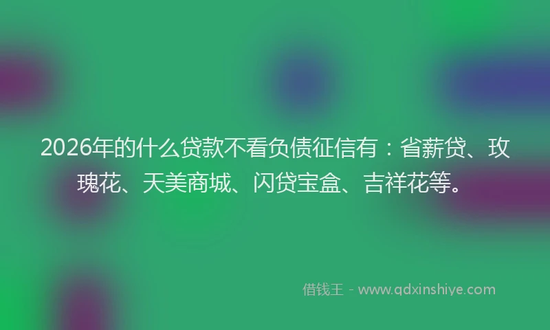 2026年的什么贷款不看负债征信有：省薪贷、玫瑰花、天美商城、闪贷宝盒、吉祥花等。