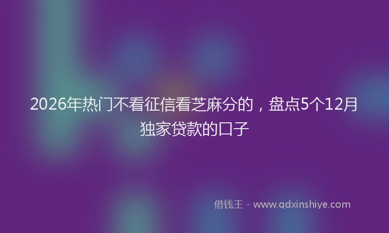 2026年热门不看征信看芝麻分的，盘点5个12月独家贷款的口子