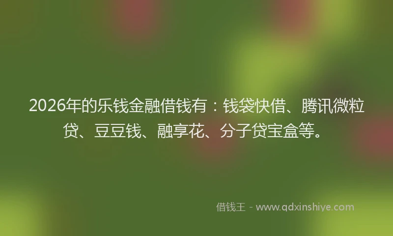 2026年的乐钱金融借钱有：钱袋快借、腾讯微粒贷、豆豆钱、融享花、分子贷宝盒等。