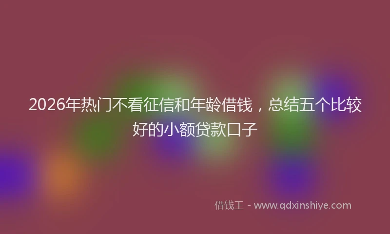 2026年热门不看征信和年龄借钱，总结五个比较好的小额贷款口子