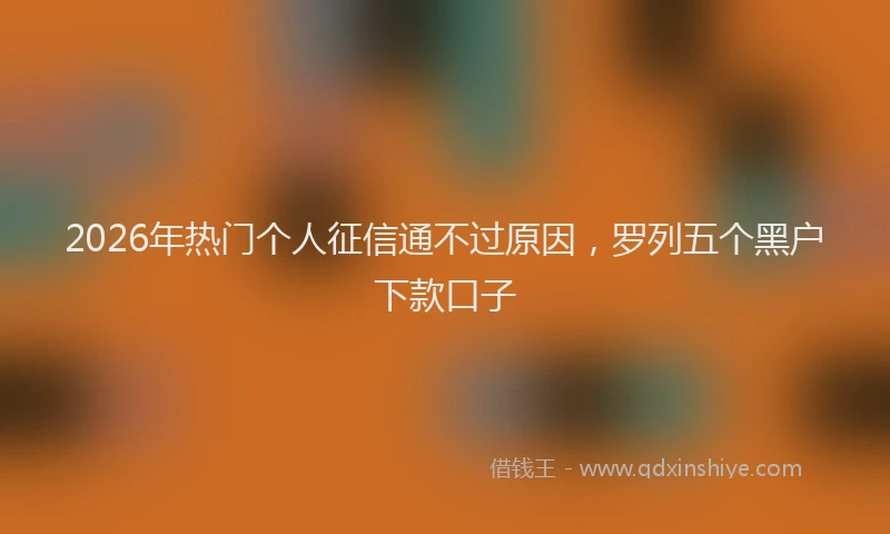 2026年热门个人征信通不过原因，罗列五个黑户下款口子