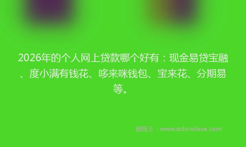 2026年的个人网上贷款哪个好有：现金易贷宝融、度小满有钱花、哆来咪钱包、宝来花、分期易等。