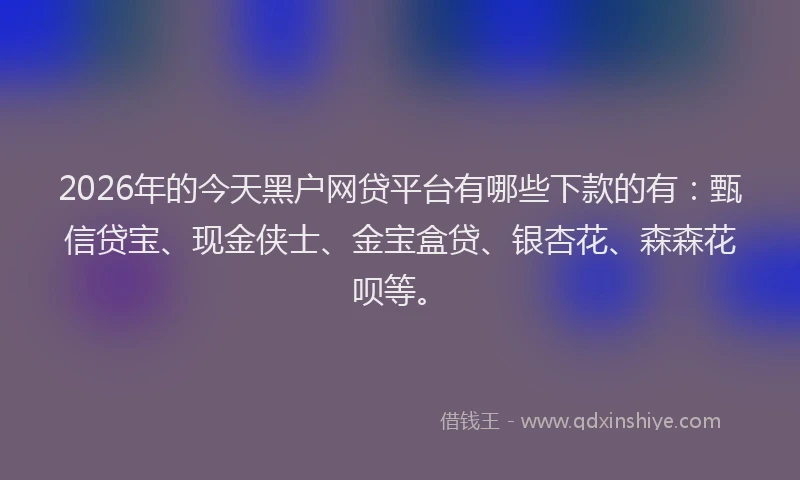 2026年的今天黑户网贷平台有哪些下款的有：甄信贷宝、现金侠士、金宝盒贷、银杏花、森森花呗等。