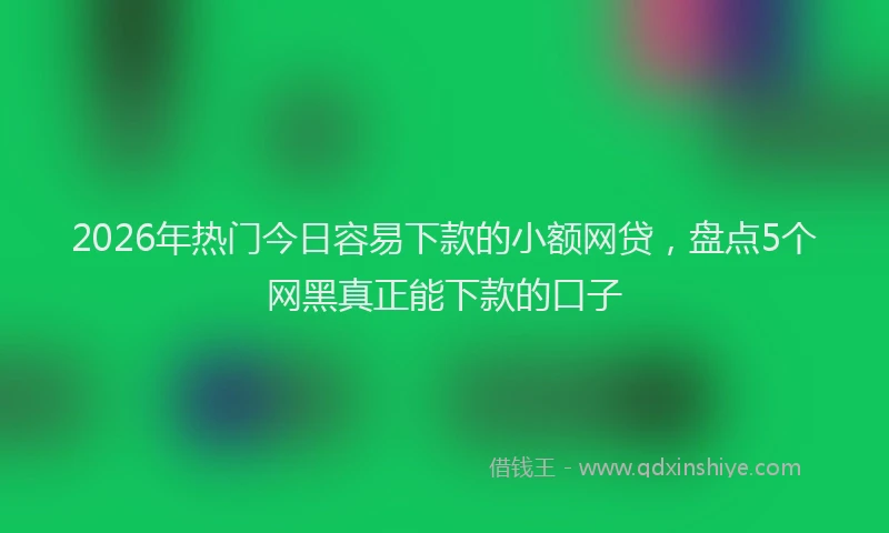 2026年热门今日容易下款的小额网贷，盘点5个网黑真正能下款的口子