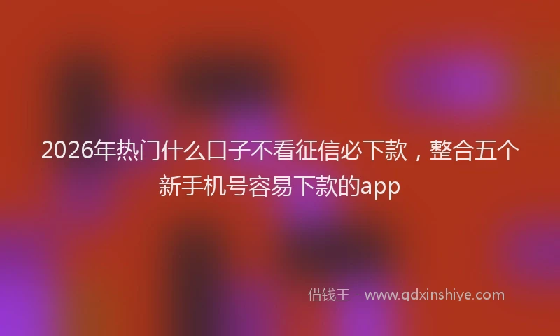 2026年热门什么口子不看征信必下款，整合五个新手机号容易下款的app