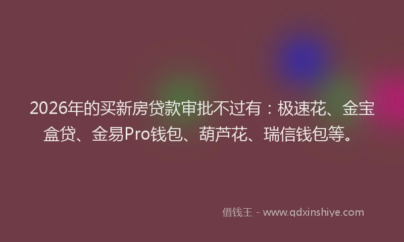 2026年的买新房贷款审批不过有：极速花、金宝盒贷、金易Pro钱包、葫芦花、瑞信钱包等。