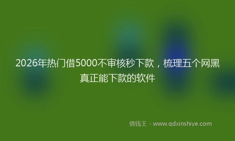 2026年热门借5000不审核秒下款，梳理五个网黑真正能下款的软件