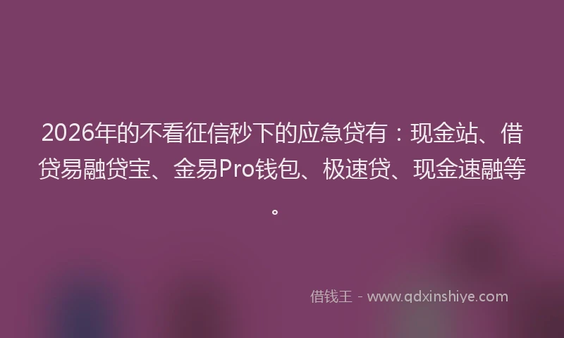 2026年的不看征信秒下的应急贷有：现金站、借贷易融贷宝、金易Pro钱包、极速贷、现金速融等。
