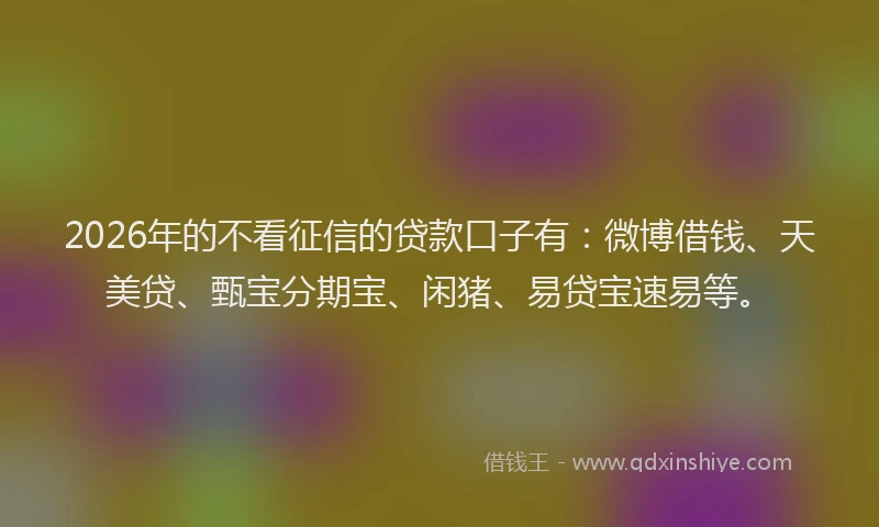 2026年的不看征信的贷款口子有：微博借钱、天美贷、甄宝分期宝、闲猪、易贷宝速易等。
