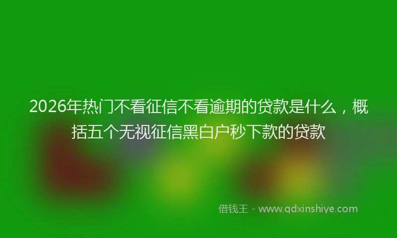 2026年热门不看征信不看逾期的贷款是什么，概括五个无视征信黑白户秒下款的贷款