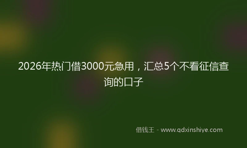 2026年热门借3000元急用，汇总5个不看征信查询的口子