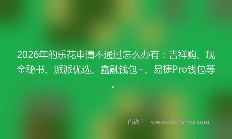 2026年的乐花申请不通过怎么办有：吉祥购、现金秘书、派派优选、鑫融钱包+、易捷Pro钱包等。