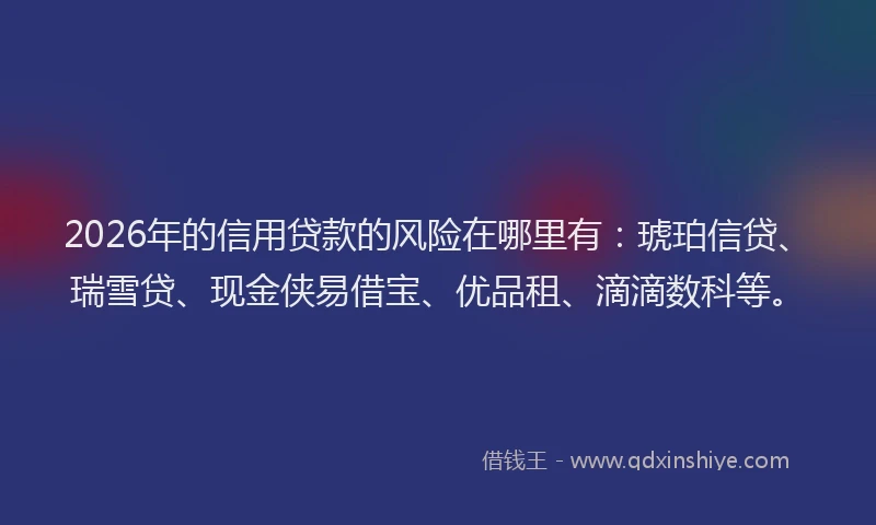 2026年的信用贷款的风险在哪里有：琥珀信贷、瑞雪贷、现金侠易借宝、优品租、滴滴数科等。