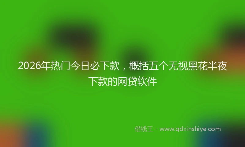 2026年热门今日必下款，概括五个无视黑花半夜下款的网贷软件