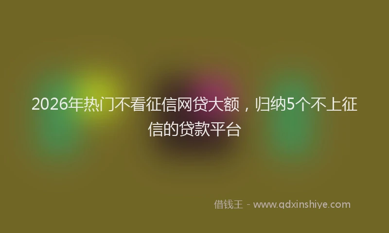 2026年热门不看征信网贷大额，归纳5个不上征信的贷款平台