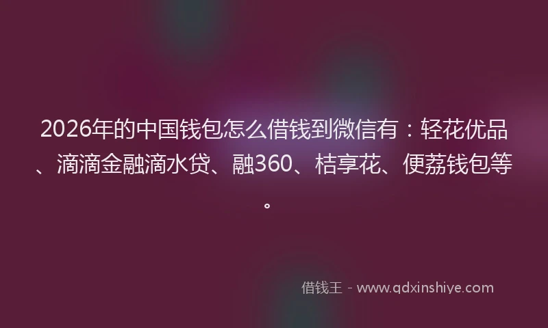 2026年的中国钱包怎么借钱到微信有：轻花优品、滴滴金融滴水贷、融360、桔享花、便荔钱包等。