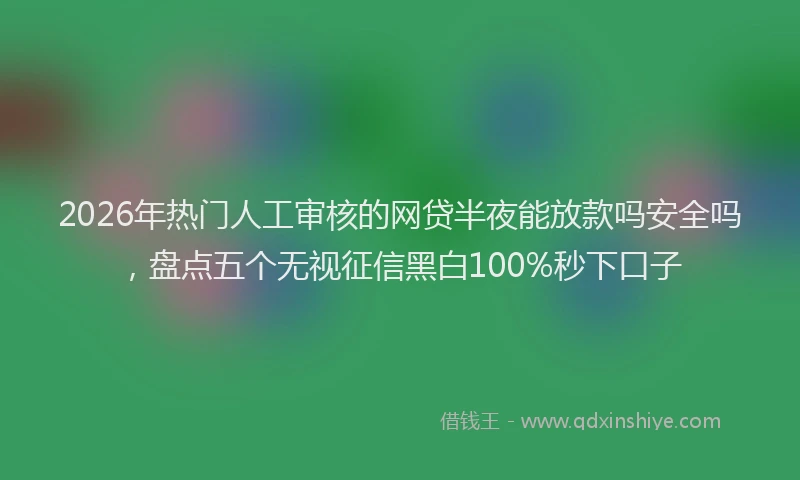 2026年热门人工审核的网贷半夜能放款吗安全吗，盘点五个无视征信黑白100%秒下口子