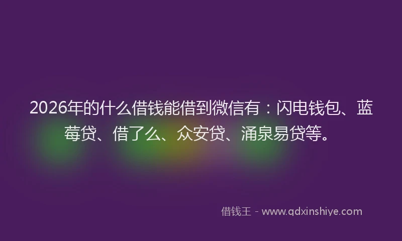 2026年的什么借钱能借到微信有：闪电钱包、蓝莓贷、借了么、众安贷、涌泉易贷等。
