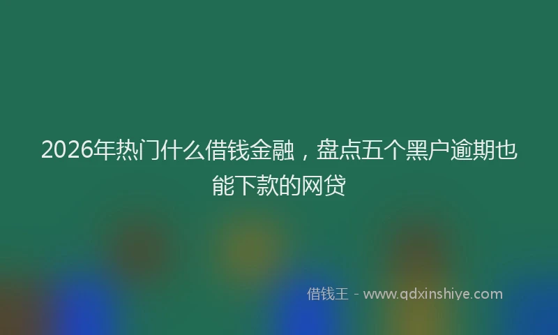 2026年热门什么借钱金融，盘点五个黑户逾期也能下款的网贷