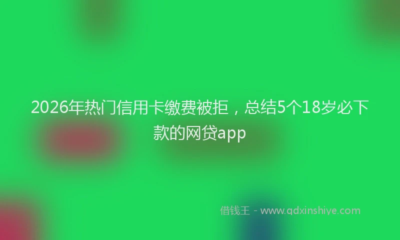 2026年热门信用卡缴费被拒，总结5个18岁必下款的网贷app