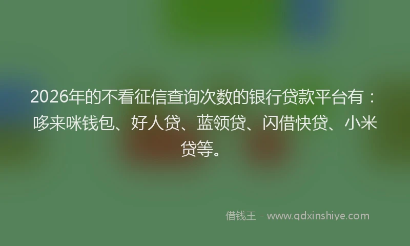 2026年的不看征信查询次数的银行贷款平台有：哆来咪钱包、好人贷、蓝领贷、闪借快贷、小米贷等。