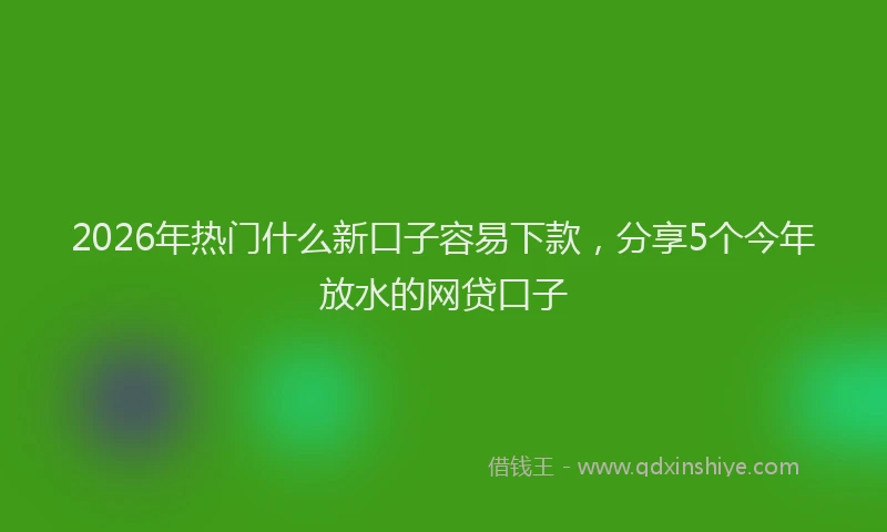 2026年热门什么新口子容易下款，分享5个今年放水的网贷口子