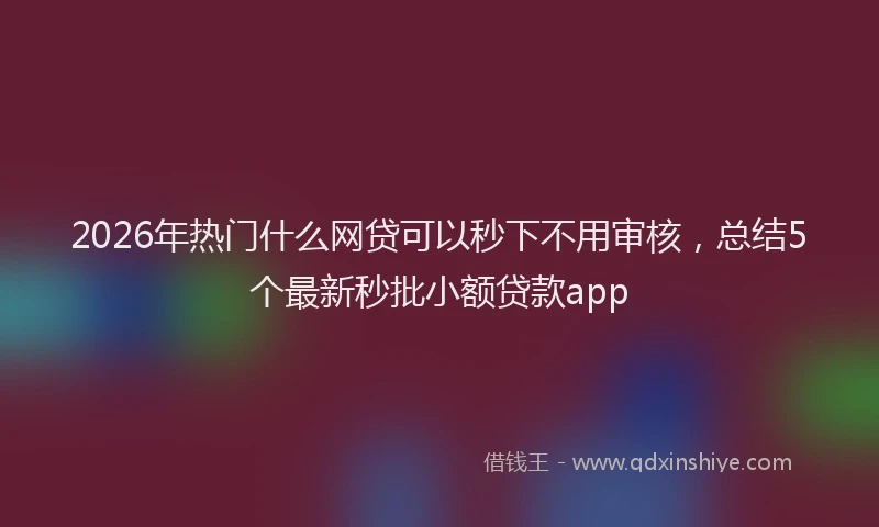 2026年热门什么网贷可以秒下不用审核，总结5个最新秒批小额贷款app
