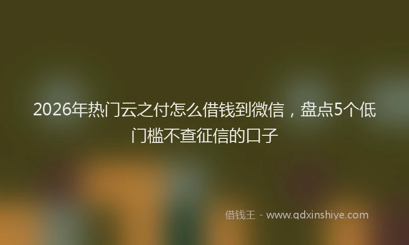 2026年热门云之付怎么借钱到微信，盘点5个低门槛不查征信的口子