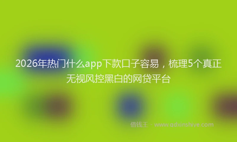 2026年热门什么app下款口子容易，梳理5个真正无视风控黑白的网贷平台