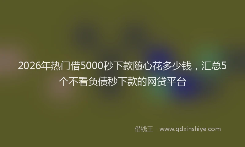 2026年热门借5000秒下款随心花多少钱，汇总5个不看负债秒下款的网贷平台
