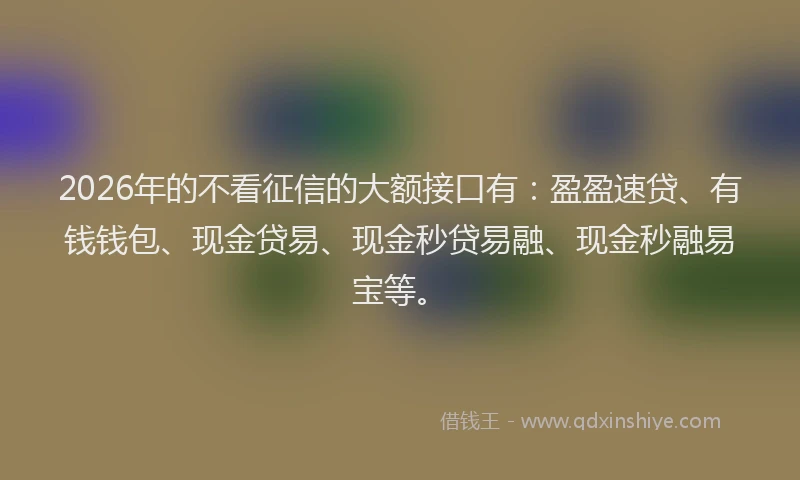 2026年的不看征信的大额接口有：盈盈速贷、有钱钱包、现金贷易、现金秒贷易融、现金秒融易宝等。