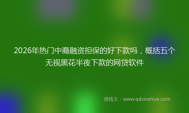 2026年热门中裔融资担保的好下款吗，概括五个无视黑花半夜下款的网贷软件