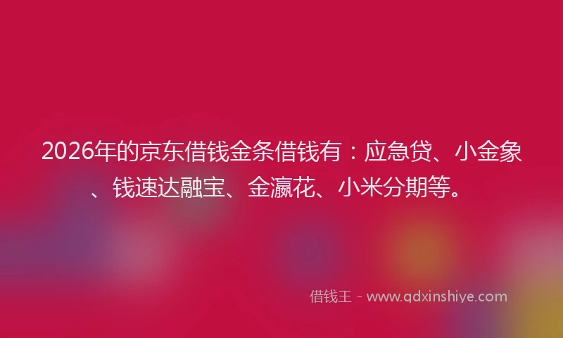 2026年的京东借钱金条借钱有：应急贷、小金象、钱速达融宝、金瀛花、小米分期等。