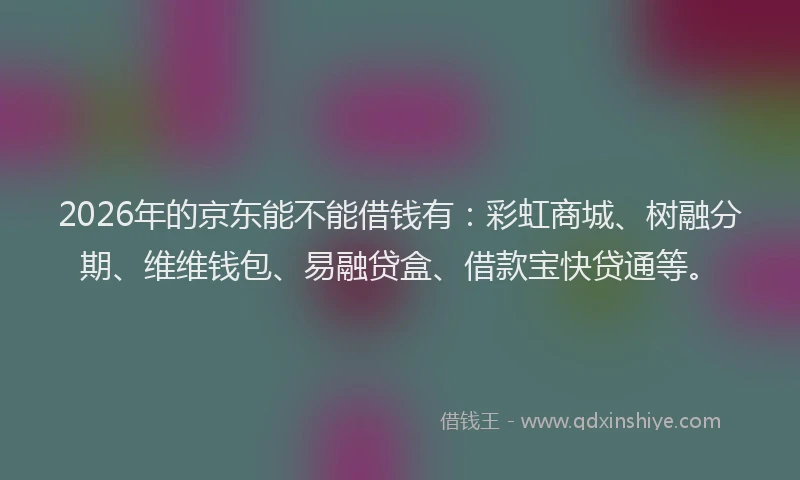 2026年的京东能不能借钱有：彩虹商城、树融分期、维维钱包、易融贷盒、借款宝快贷通等。