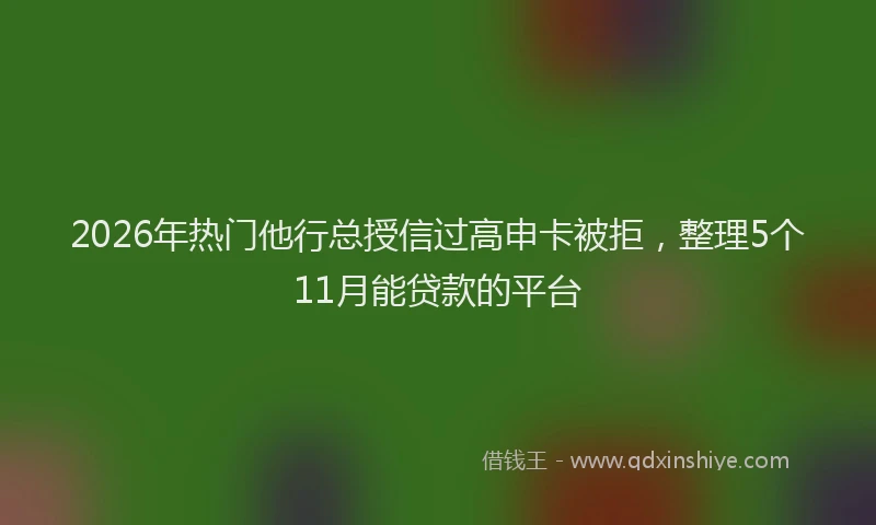 2026年热门他行总授信过高申卡被拒，整理5个11月能贷款的平台