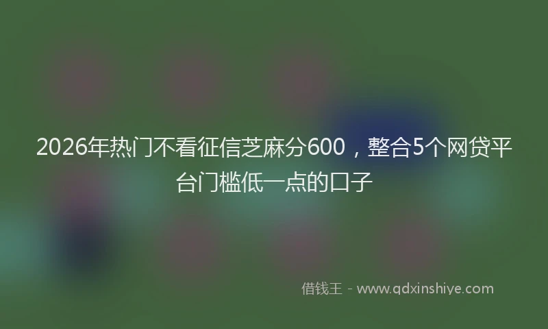 2026年热门不看征信芝麻分600，整合5个网贷平台门槛低一点的口子
