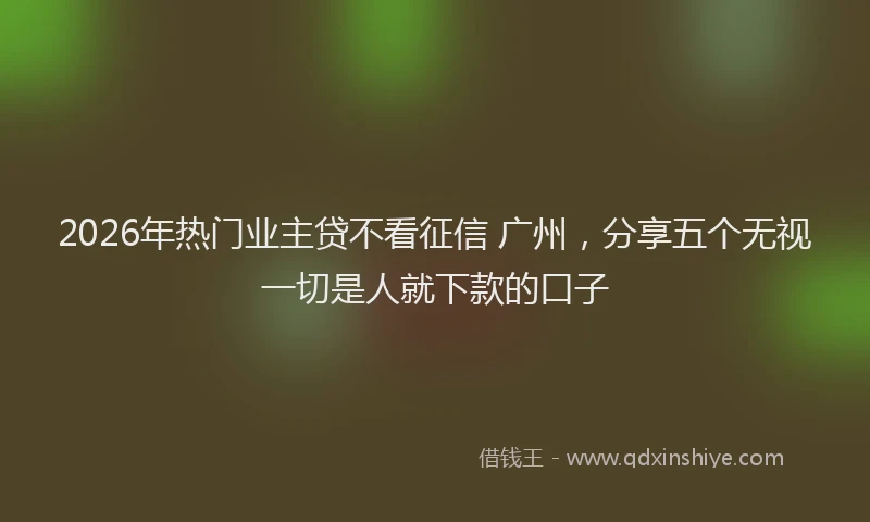 2026年热门业主贷不看征信 广州，分享五个无视一切是人就下款的口子