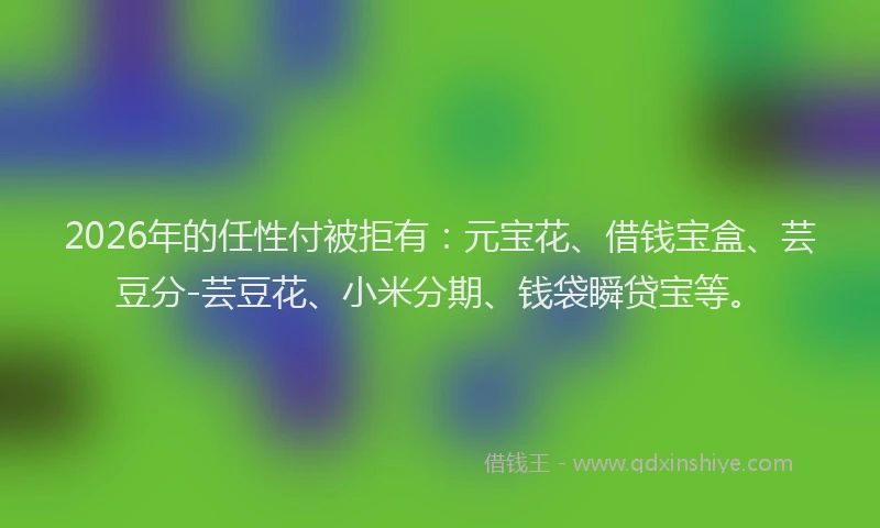 2026年的任性付被拒有：元宝花、借钱宝盒、芸豆分-芸豆花、小米分期、钱袋瞬贷宝等。