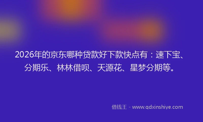 2026年的京东哪种贷款好下款快点有：速下宝、分期乐、林林借呗、天源花、星梦分期等。