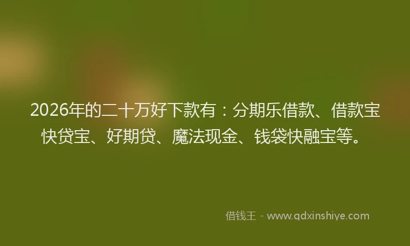 2026年的二十万好下款有：分期乐借款、借款宝快贷宝、好期贷、魔法现金、钱袋快融宝等。