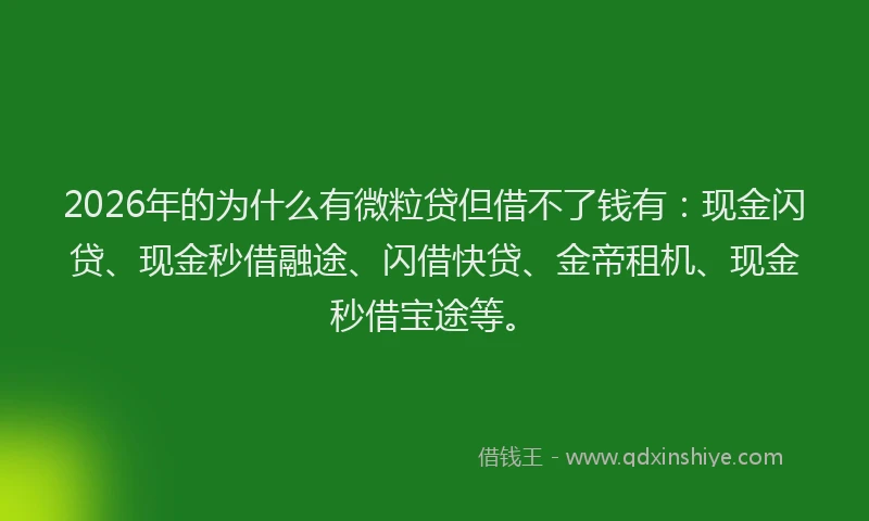 2026年的为什么有微粒贷但借不了钱有：现金闪贷、现金秒借融途、闪借快贷、金帝租机、现金秒借宝途等。