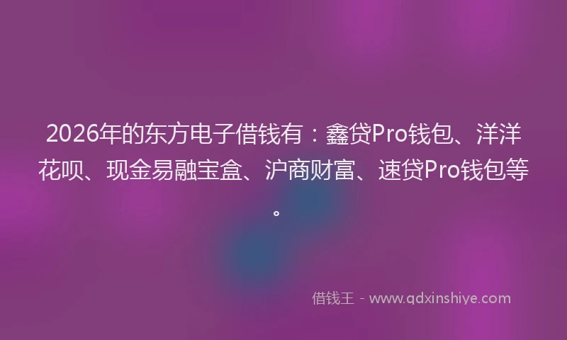 2026年的东方电子借钱有：鑫贷Pro钱包、洋洋花呗、现金易融宝盒、沪商财富、速贷Pro钱包等。