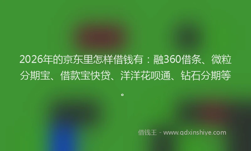 2026年的京东里怎样借钱有：融360借条、微粒分期宝、借款宝快贷、洋洋花呗通、钻石分期等。
