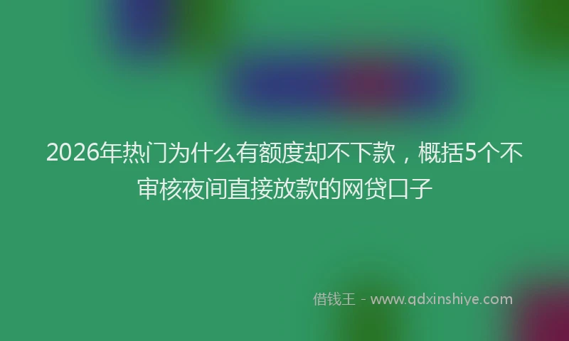 2026年热门为什么有额度却不下款，概括5个不审核夜间直接放款的网贷口子